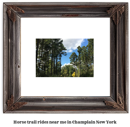 horse trail rides near me in Champlain, New York